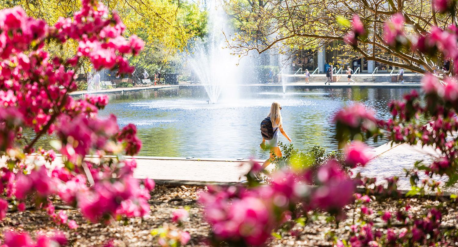 A student walking in front of a fountain running in the reflection pond with bright colorful flowers in the foreground. 